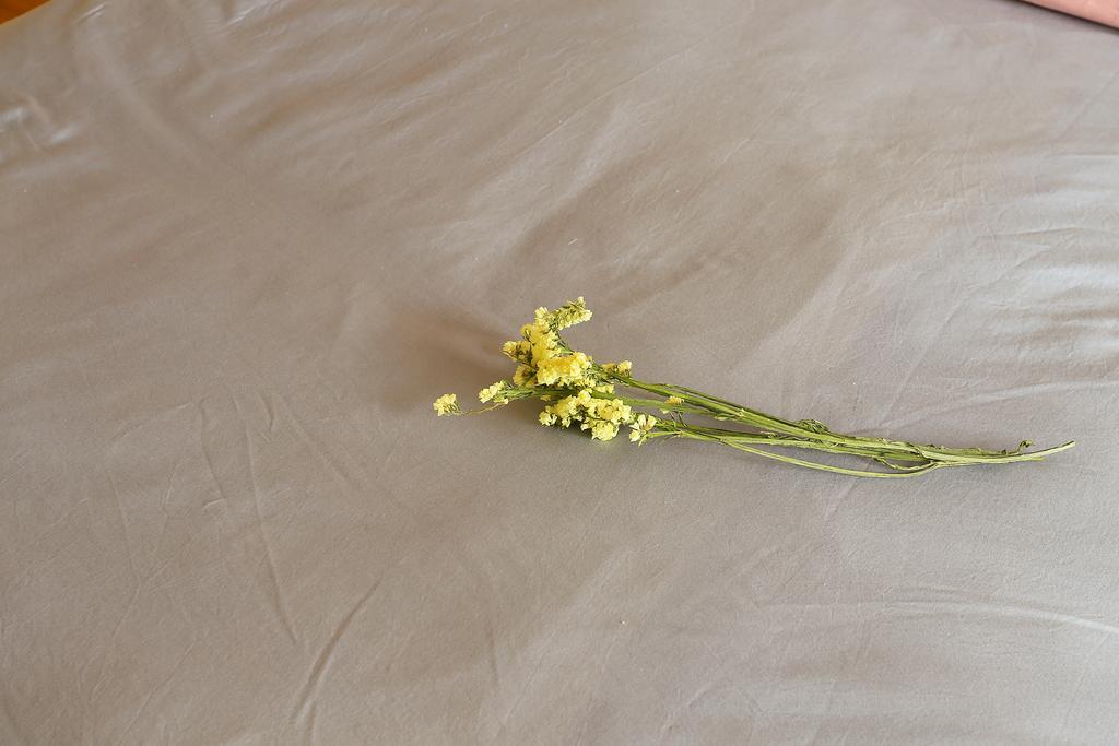 Midsummer Homestay Trương Gia Giới Ngoại thất bức ảnh